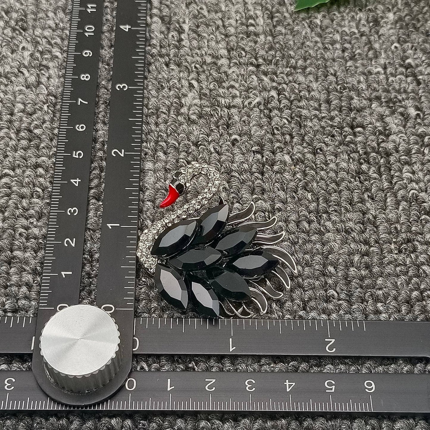 Sparkling Black Swan